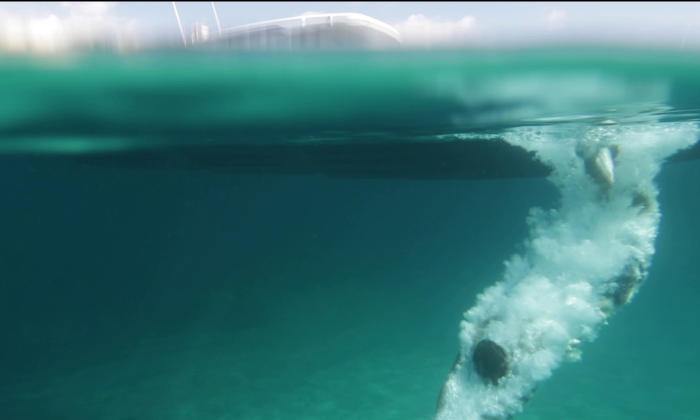 private boat day the yacht