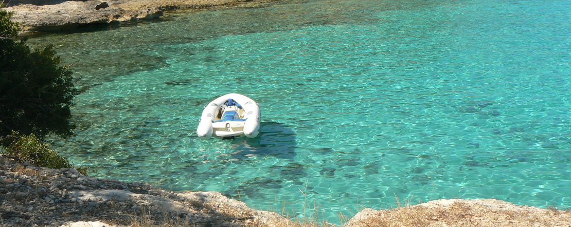 cruise to the clearest water coves